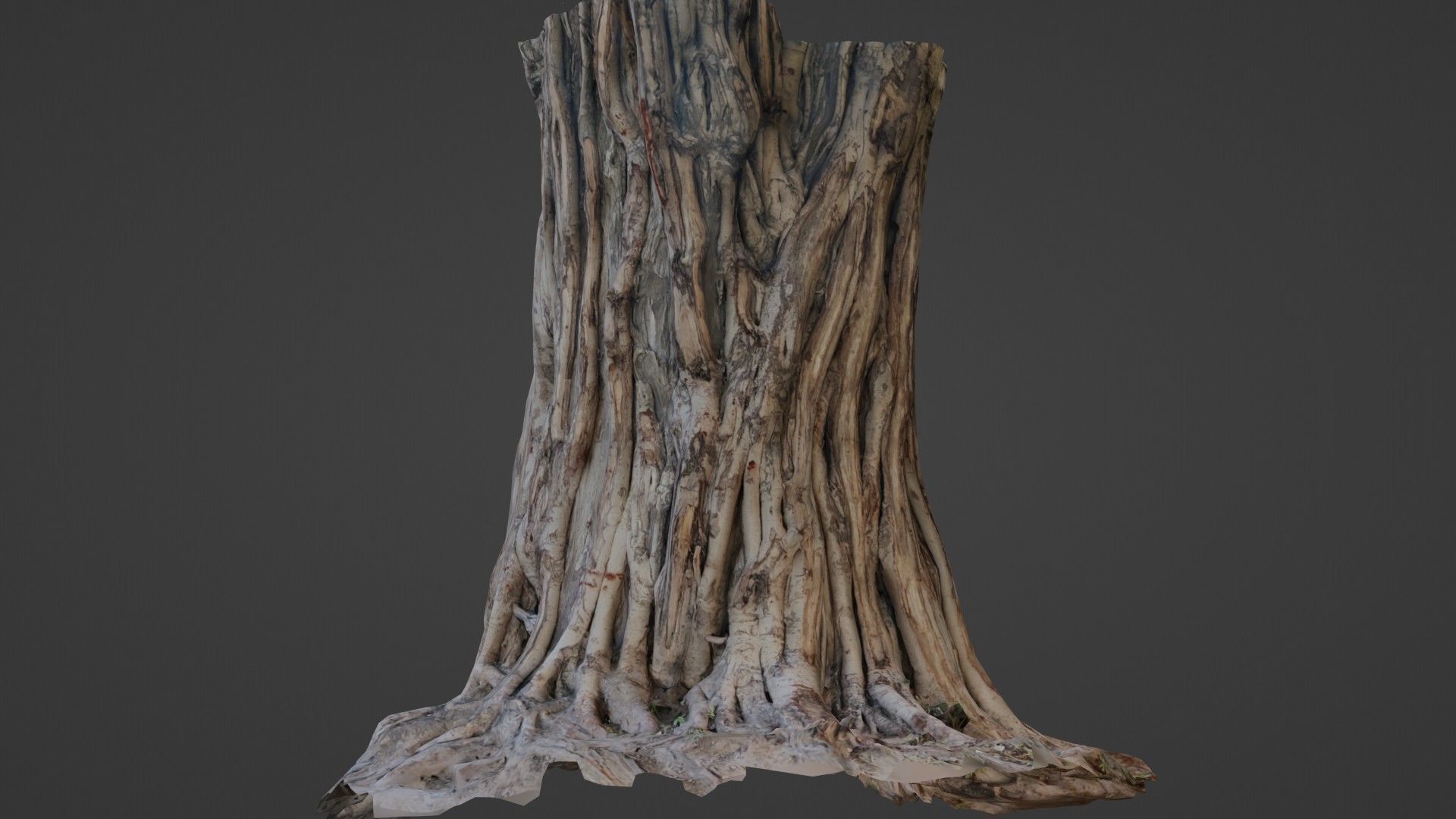 Tree Trunk Low-poly 3D model_1