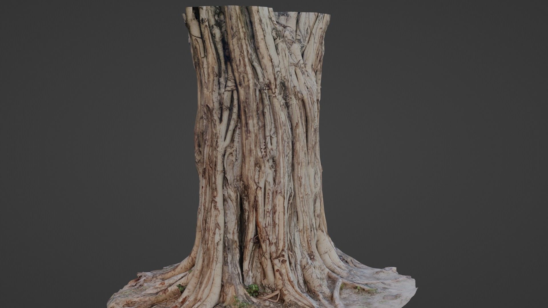 Tree Trunk Low-poly 3D model_6