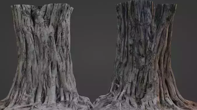 Tree Trunk