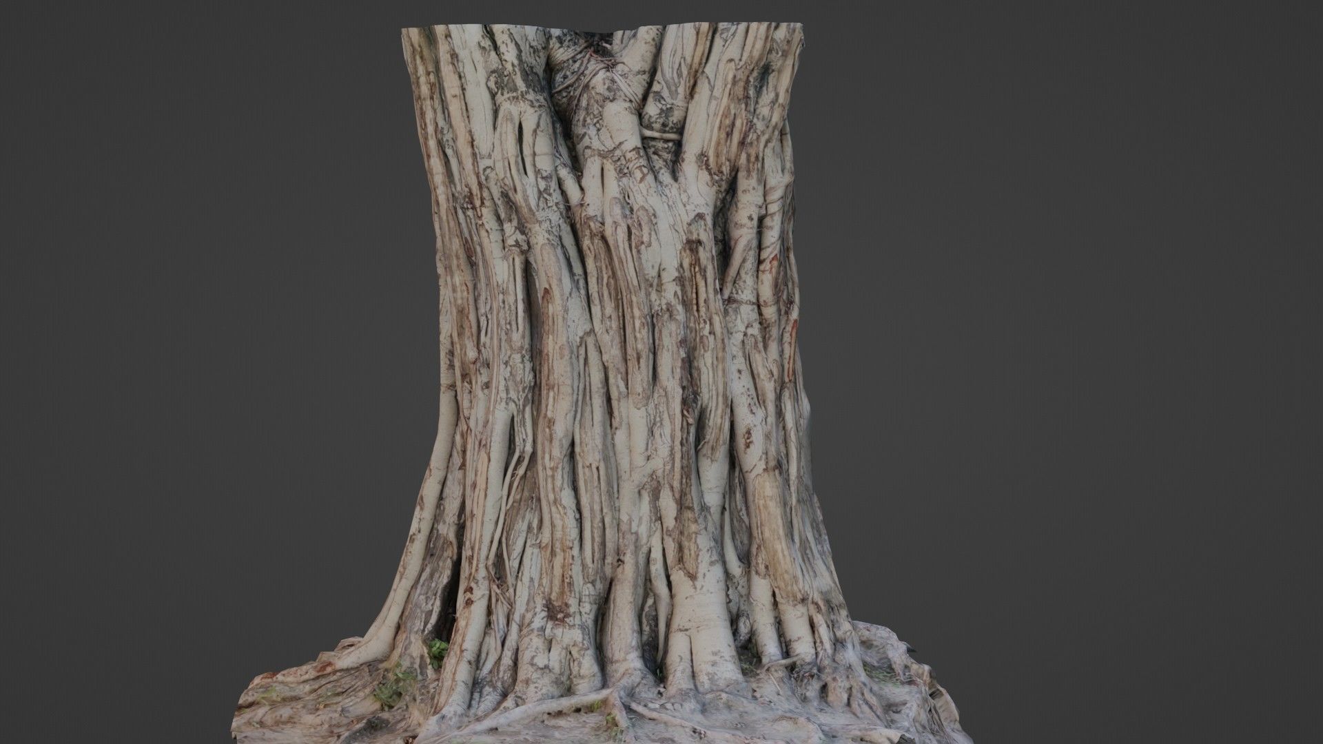 Tree Trunk Low-poly 3D model_5