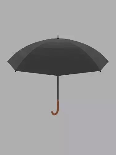  Umbrella