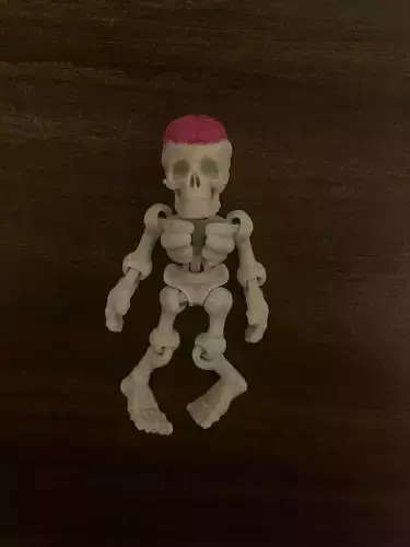 Flexi Skeleton 3D print model