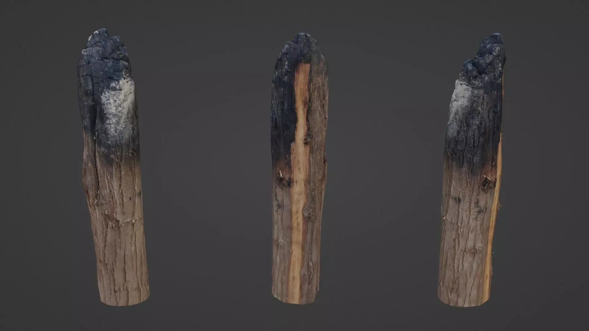 Burned Trunk Scan Low-poly 3D model