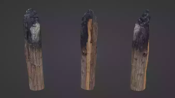 Burned Trunk Scan Low-poly 3D model