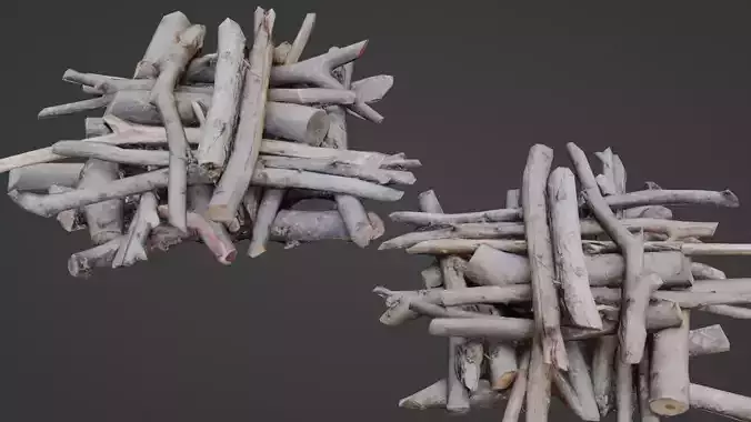  Bundel Of Wooden Logs