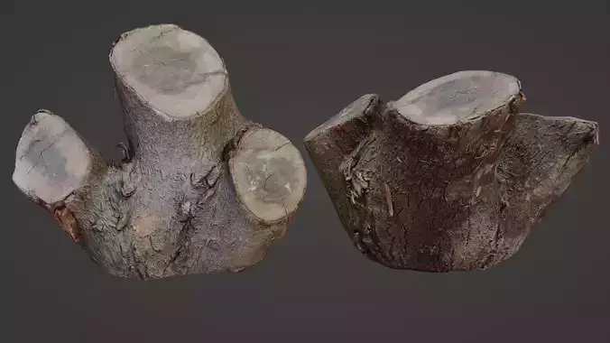 Cutted stump scan