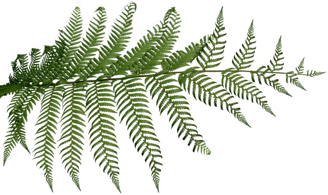 Sit-Out Area with Waterfall  Landscape Design 3D model_31