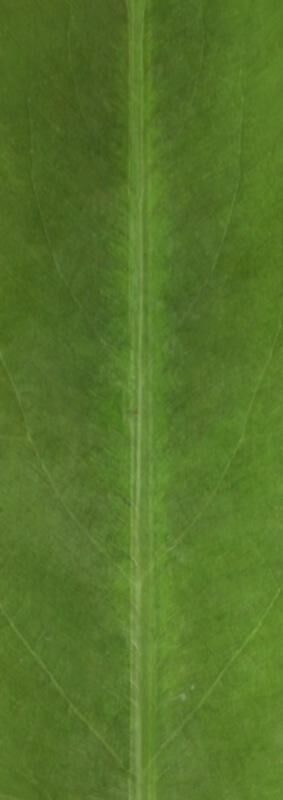 Sit-Out Area with Waterfall  Landscape Design 3D model_16