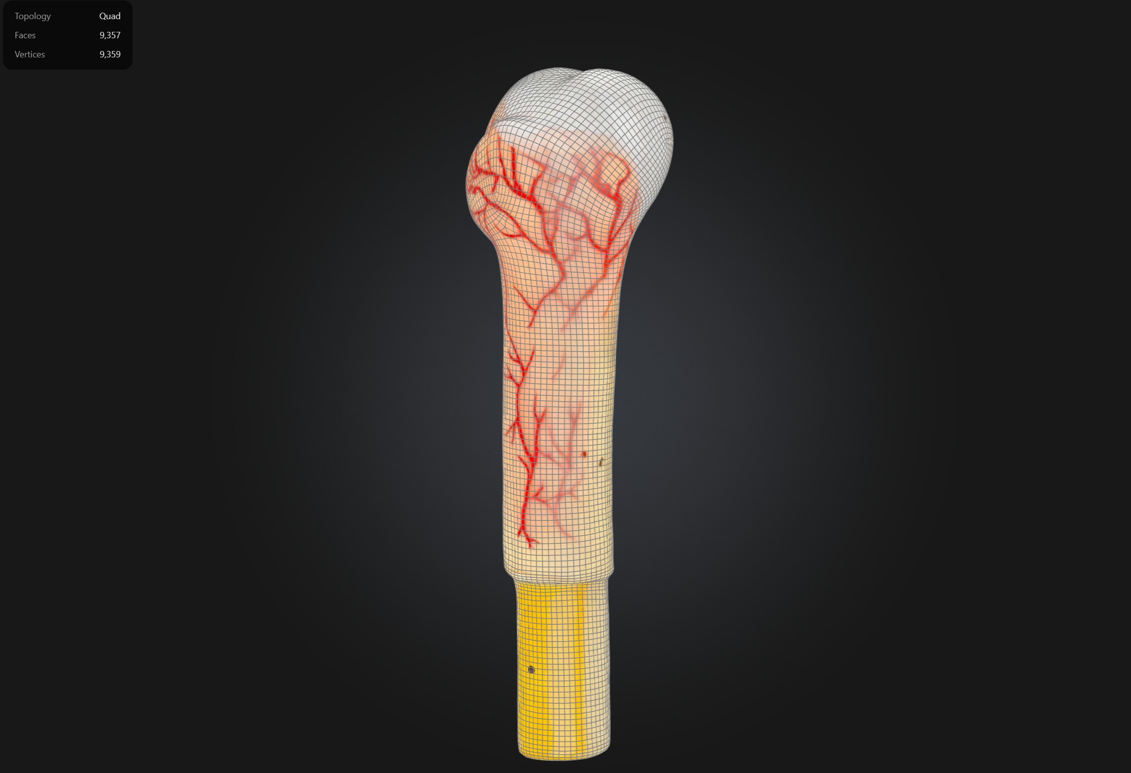 Human Bone Microstructure with Long Bone Osteon 3D print model_8