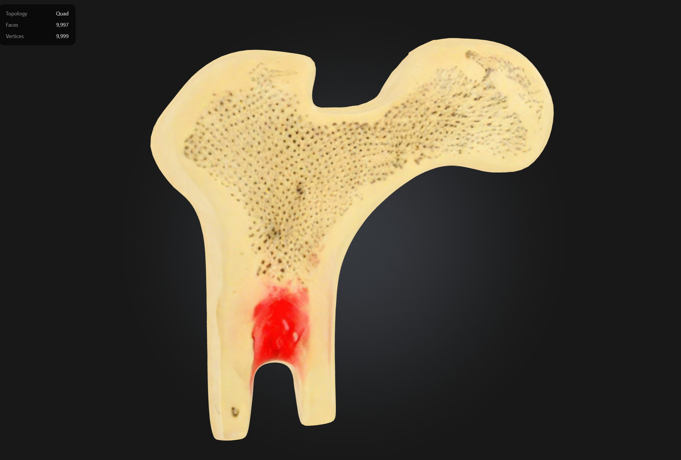 Human Bone Microstructure with Long Bone Osteon 3D print model_3
