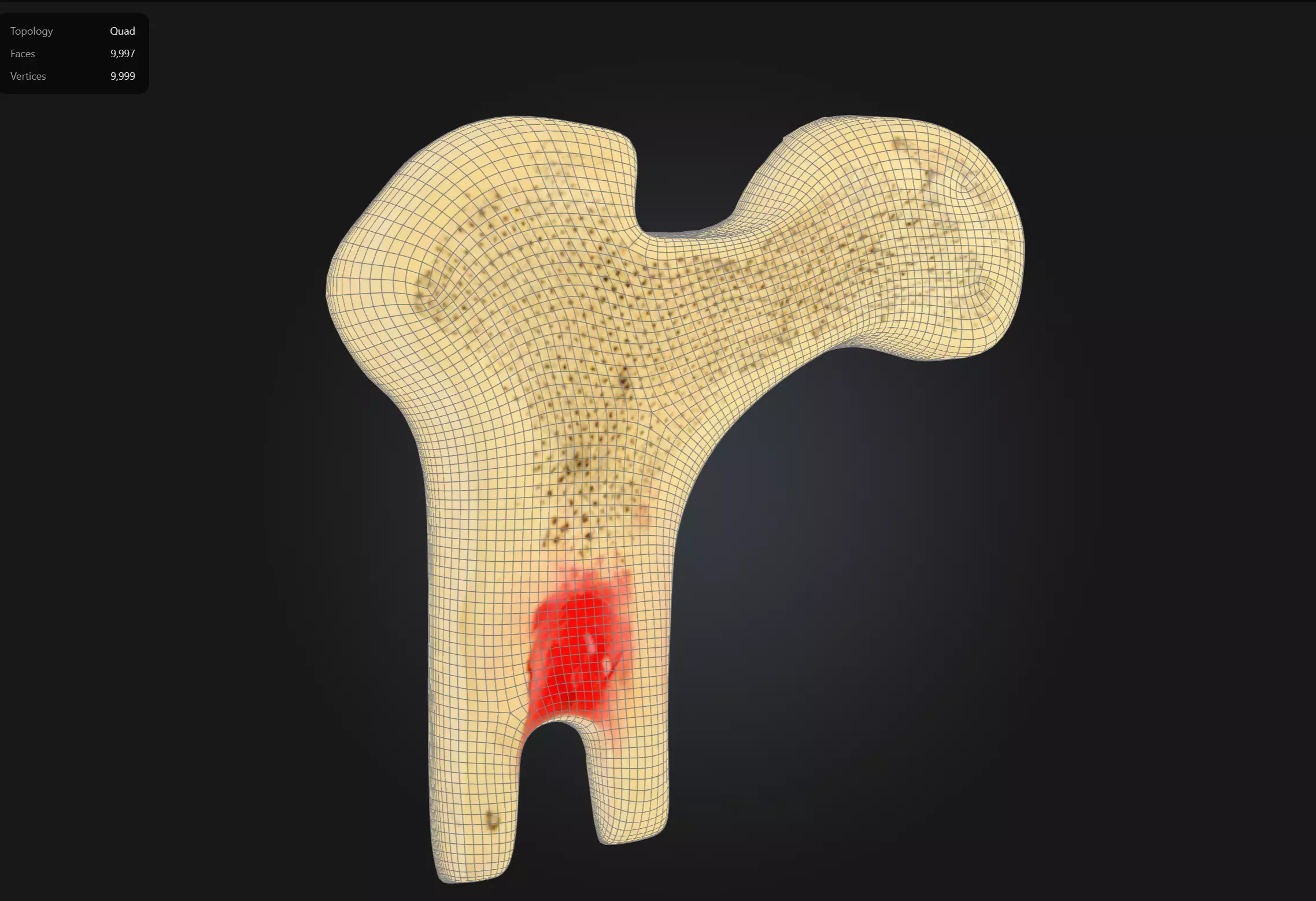 Human Bone Microstructure with Long Bone Osteon 3D print model_0