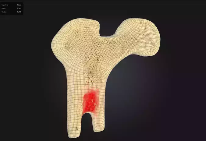 Human Bone Microstructure with Long Bone Osteon 3D print model