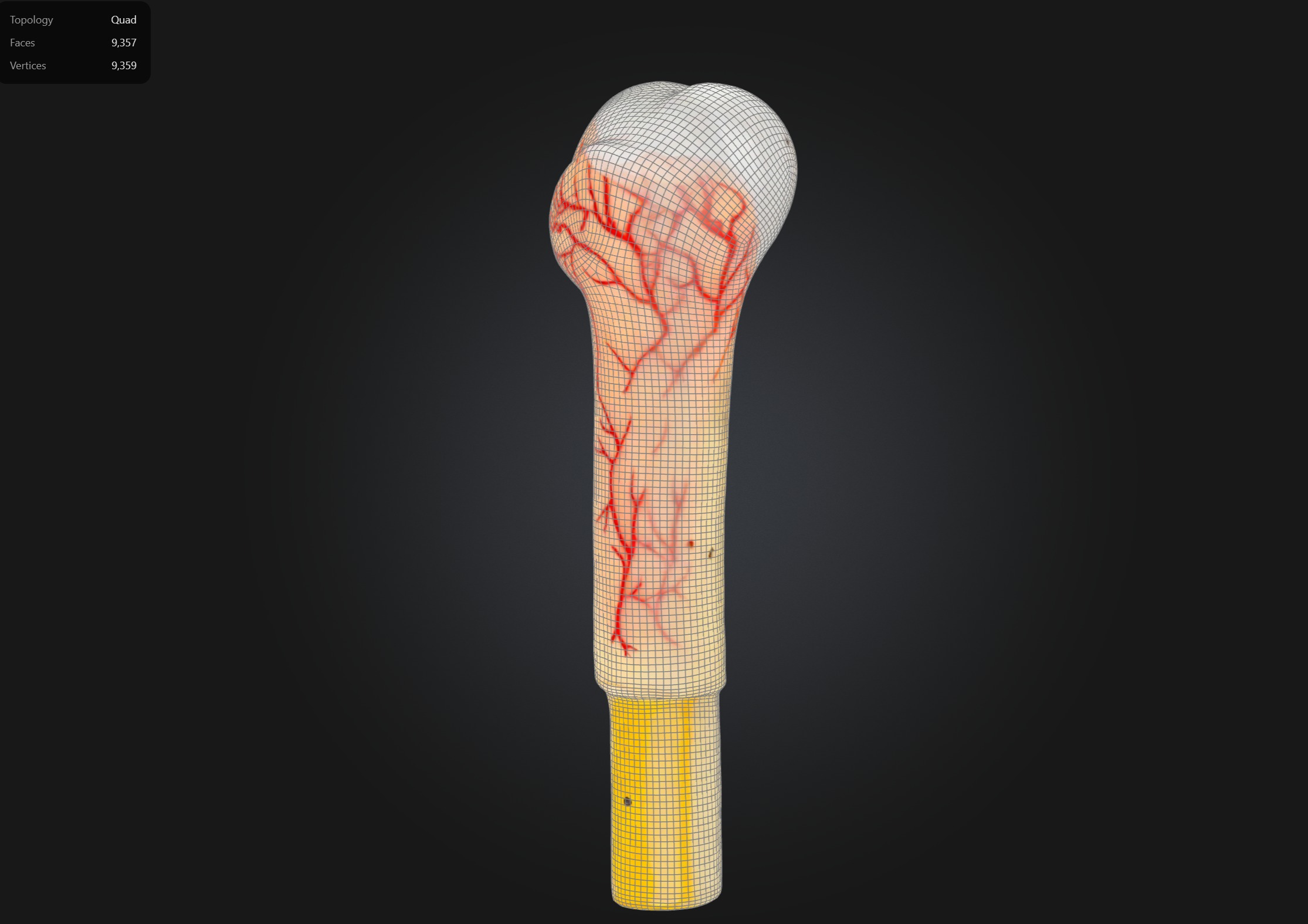 Human Bone Microstructure with Long Bone Osteon 3D print model_2