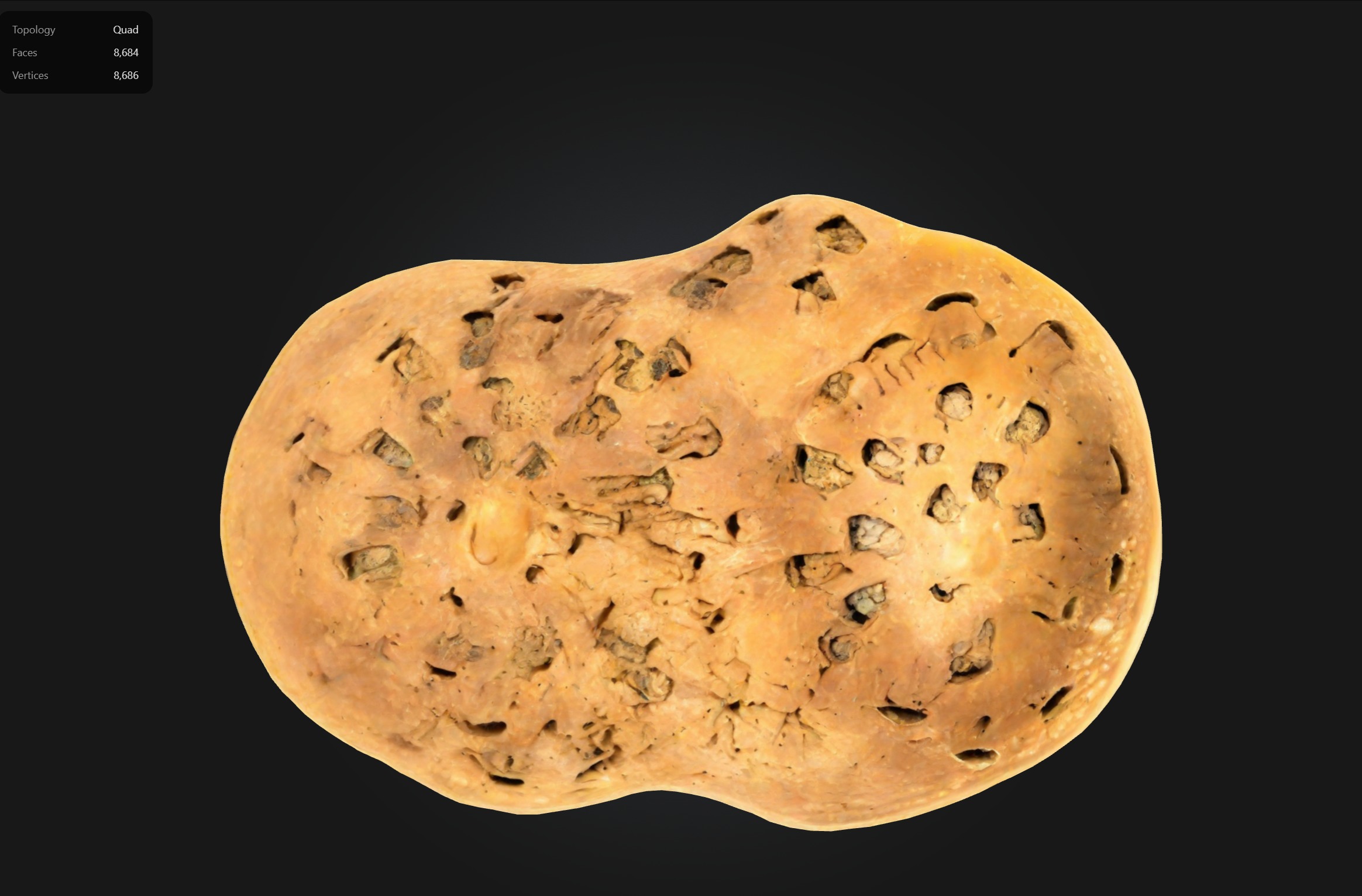 Human Bone Microstructure with Long Bone Osteon 3D print model_1