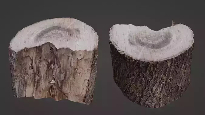 Cutted Stump