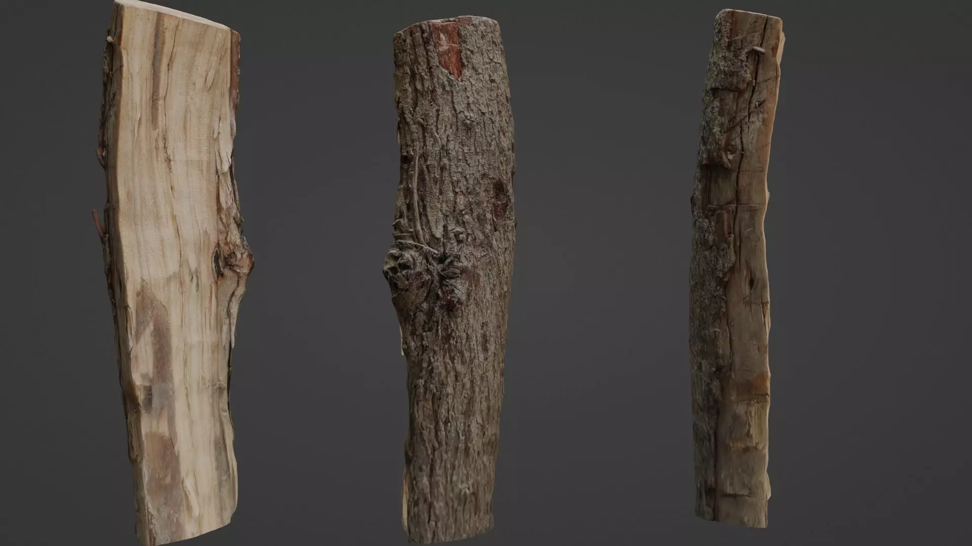 Scanned Cutted Trunk Low-poly 3D model