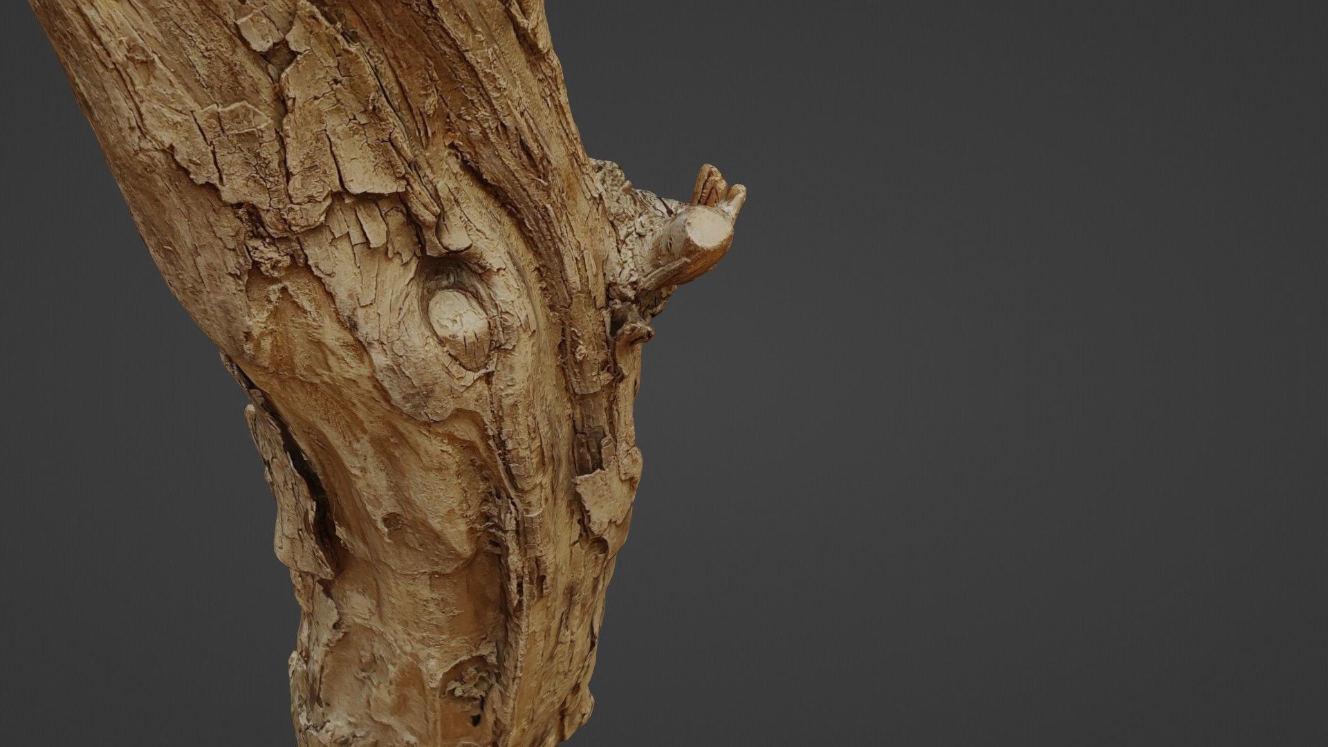 Log stump scan Low-poly 3D model_7