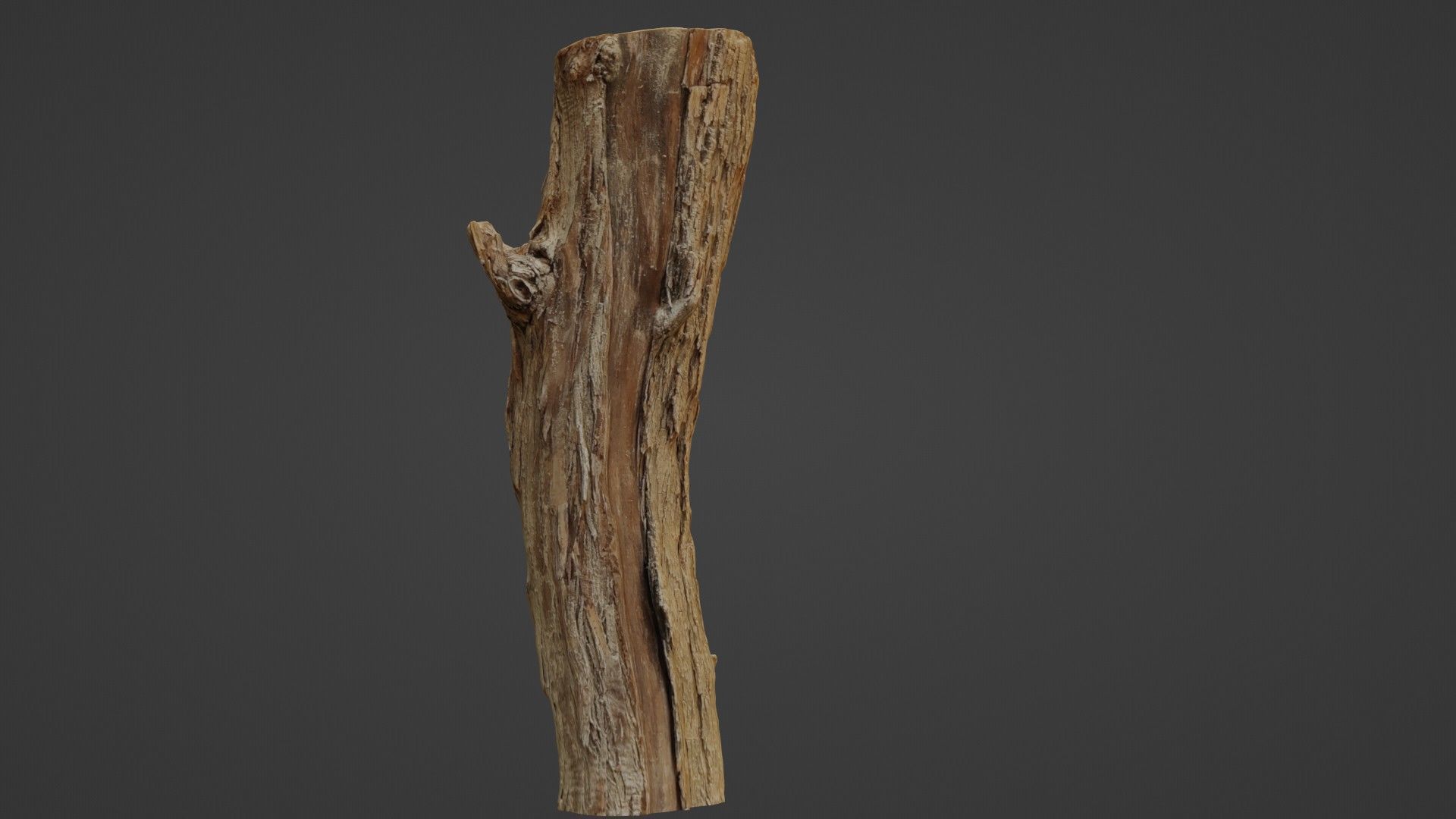 Log stump scan Low-poly 3D model_1