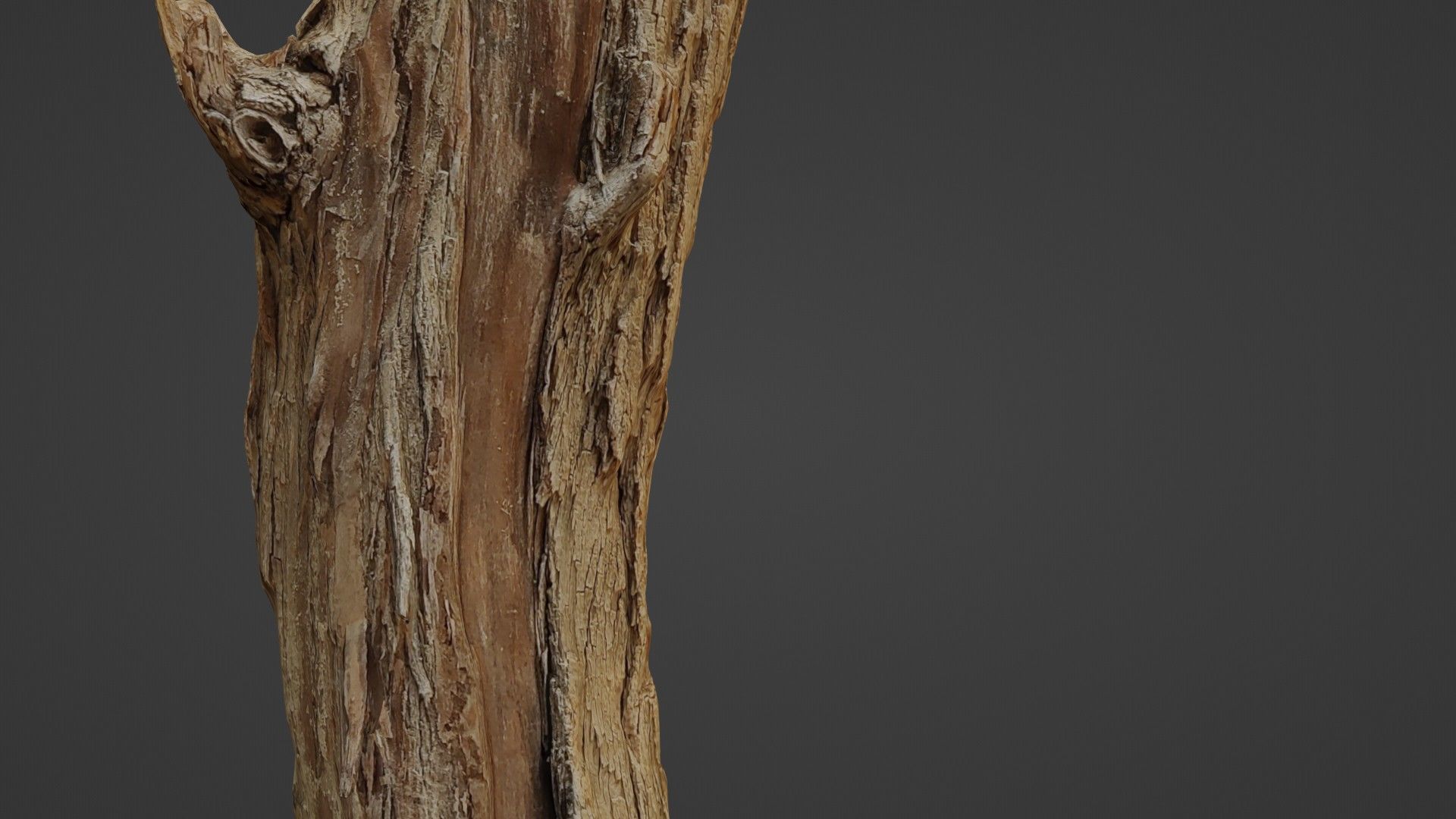 Log stump scan Low-poly 3D model_4
