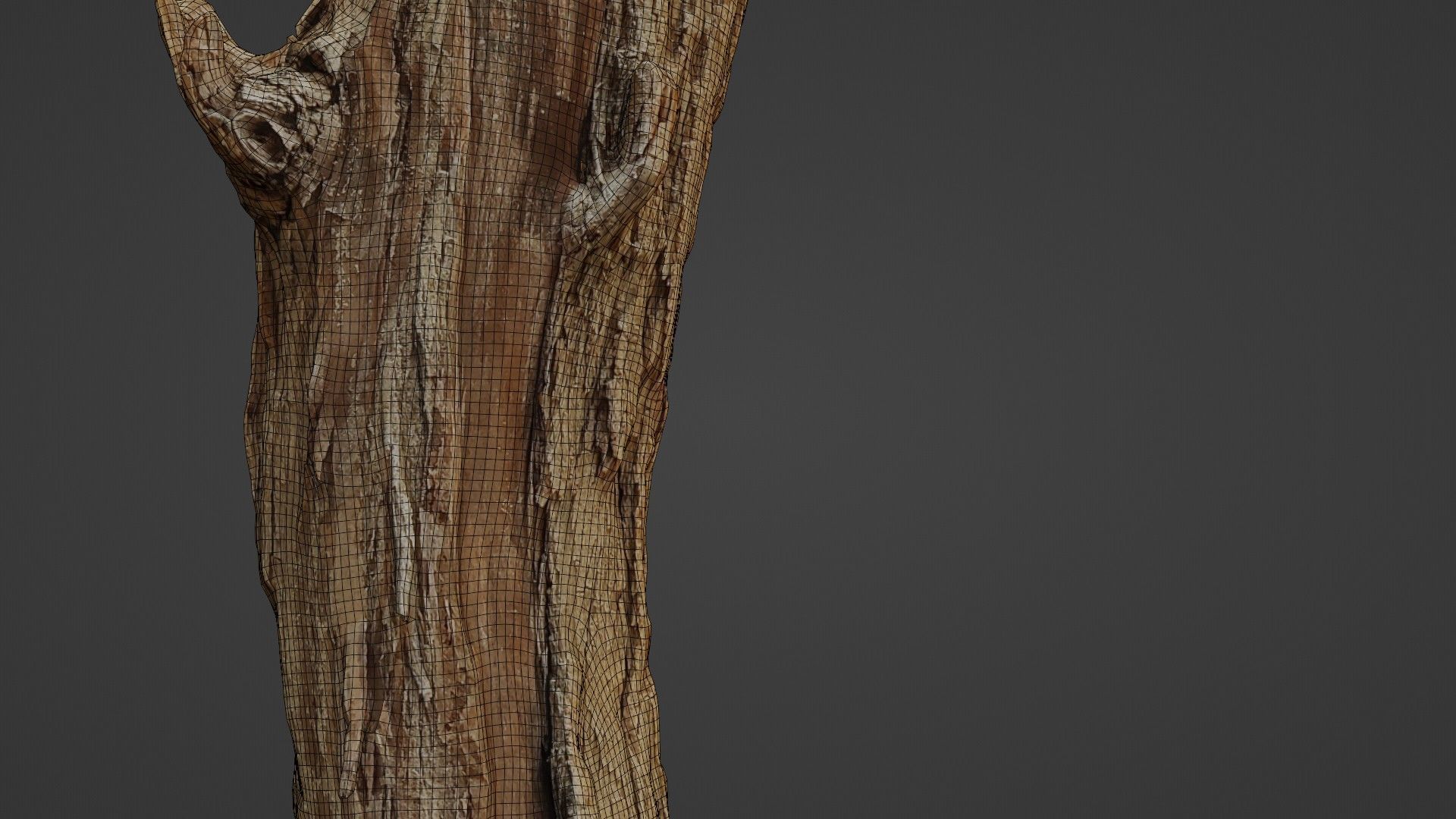Log stump scan Low-poly 3D model_3