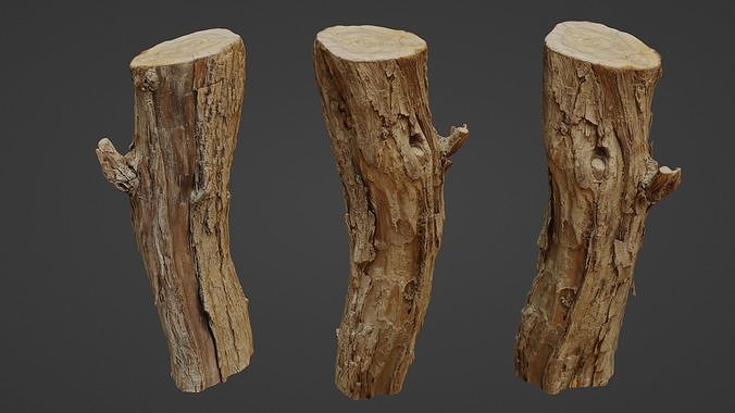 Log stump scan Low-poly 3D model