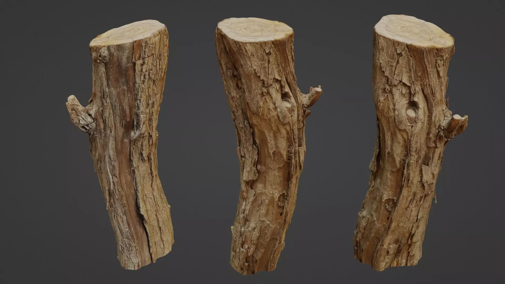 Log stump scan Low-poly 3D model_0