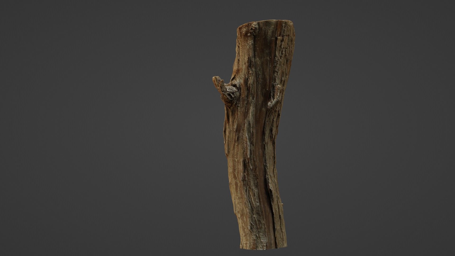 Log stump scan Low-poly 3D model_6