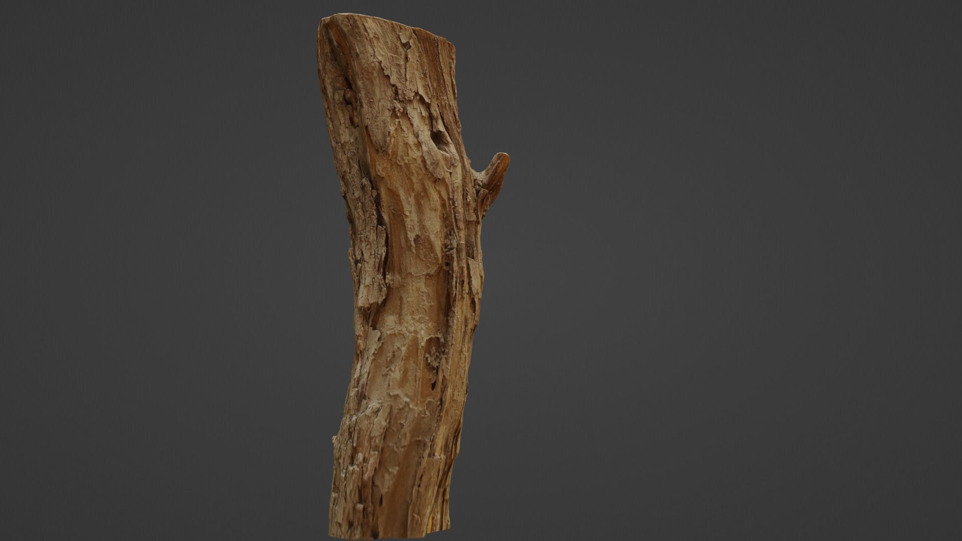 Log stump scan Low-poly 3D model_5