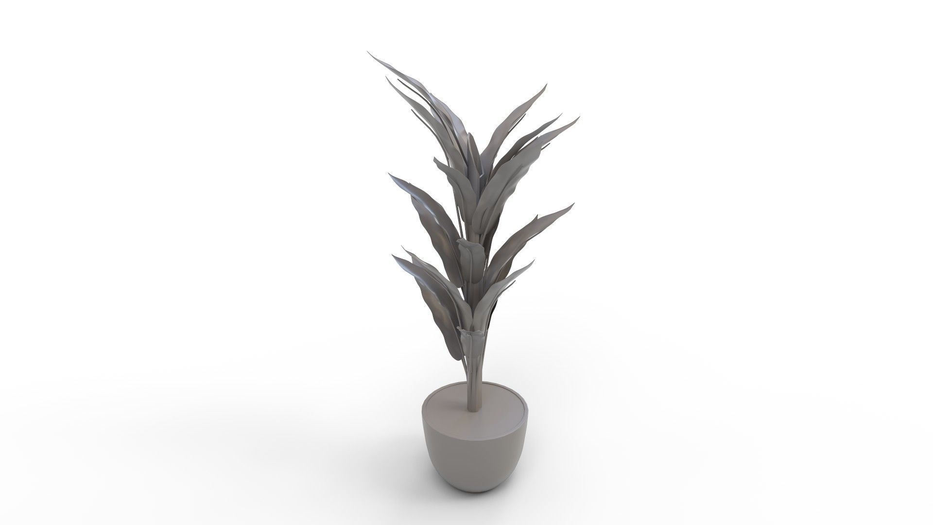 Banana Leaf Tree in Planter 3D model_8