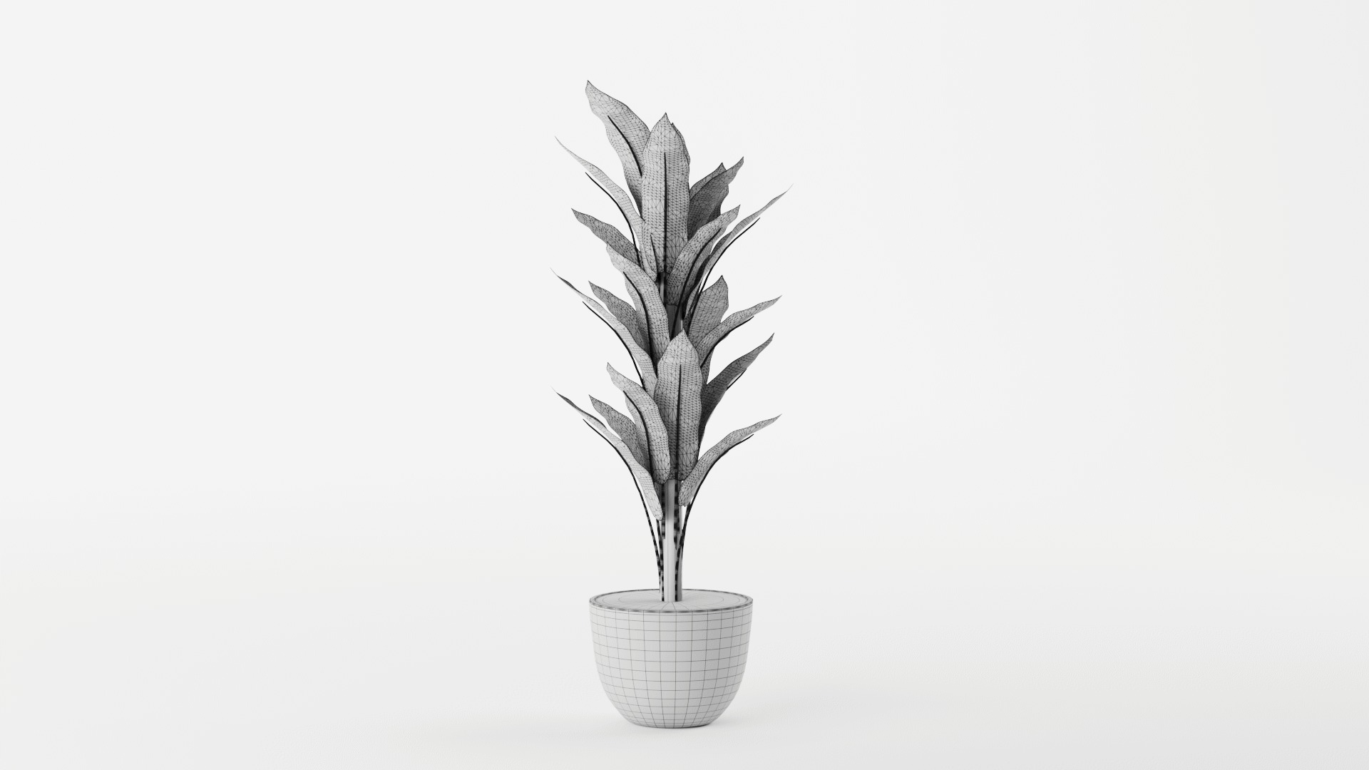 Banana Leaf Tree in Planter 3D model_9