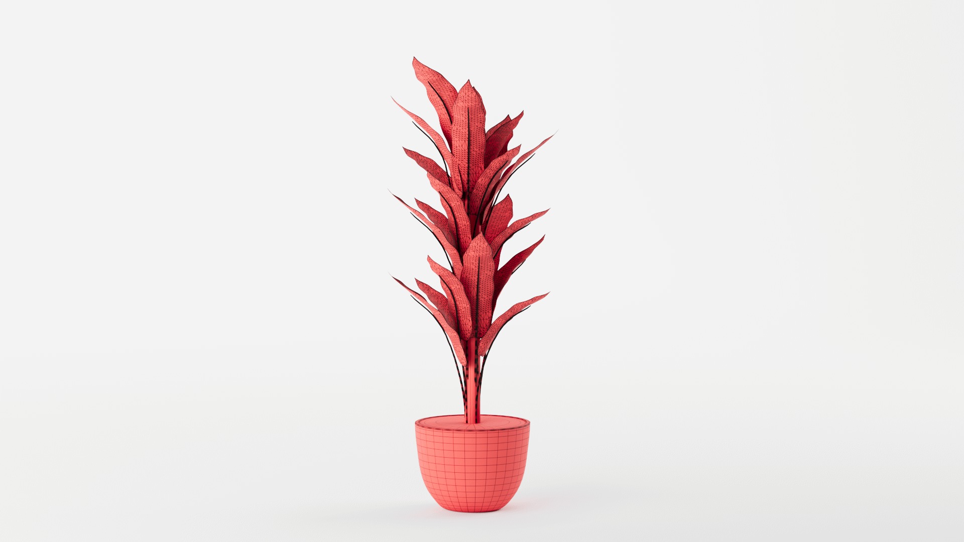 Banana Leaf Tree in Planter 3D model_10