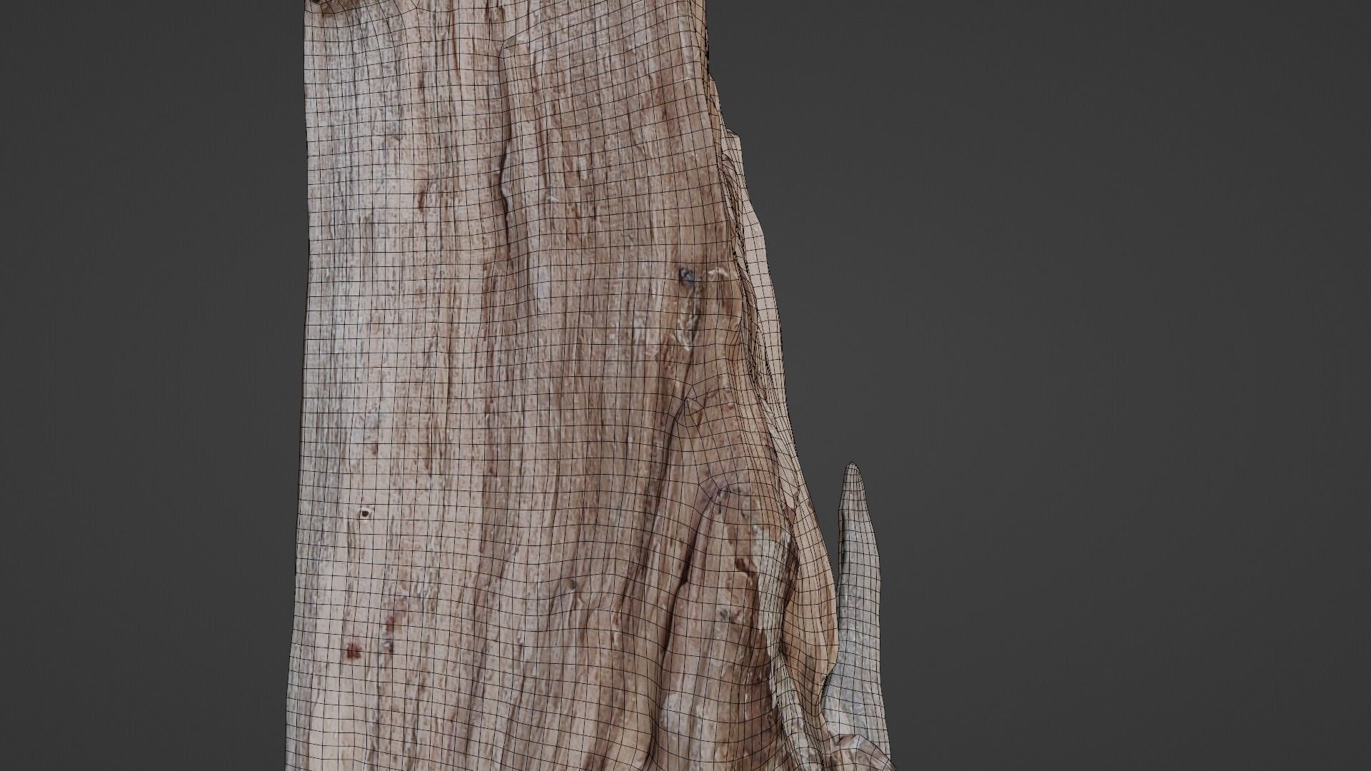 Stump cutted Low-poly 3D model_3