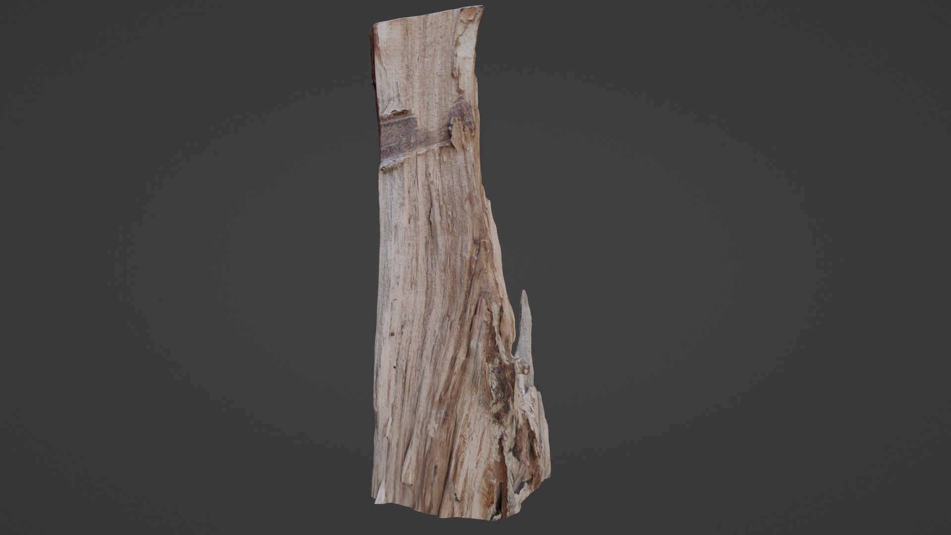Stump cutted Low-poly 3D model_1