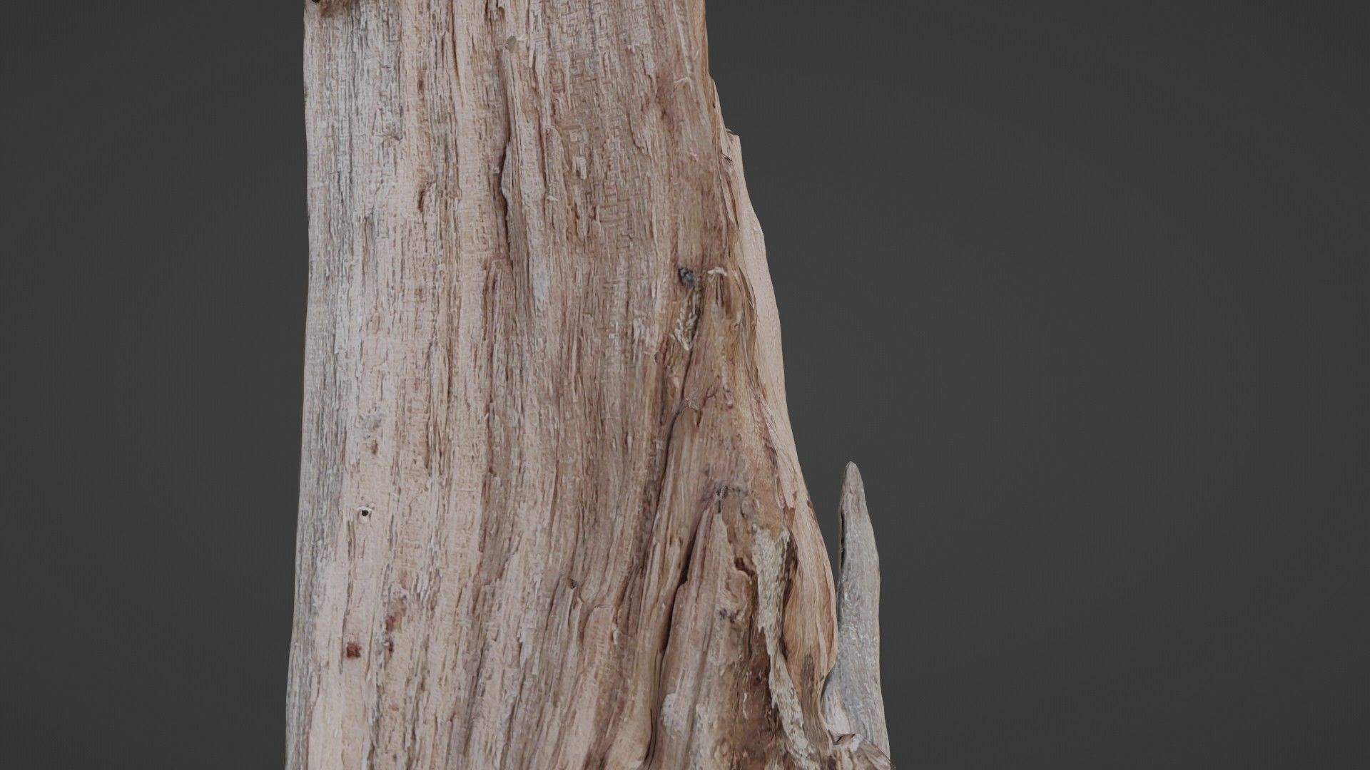 Stump cutted Low-poly 3D model_4