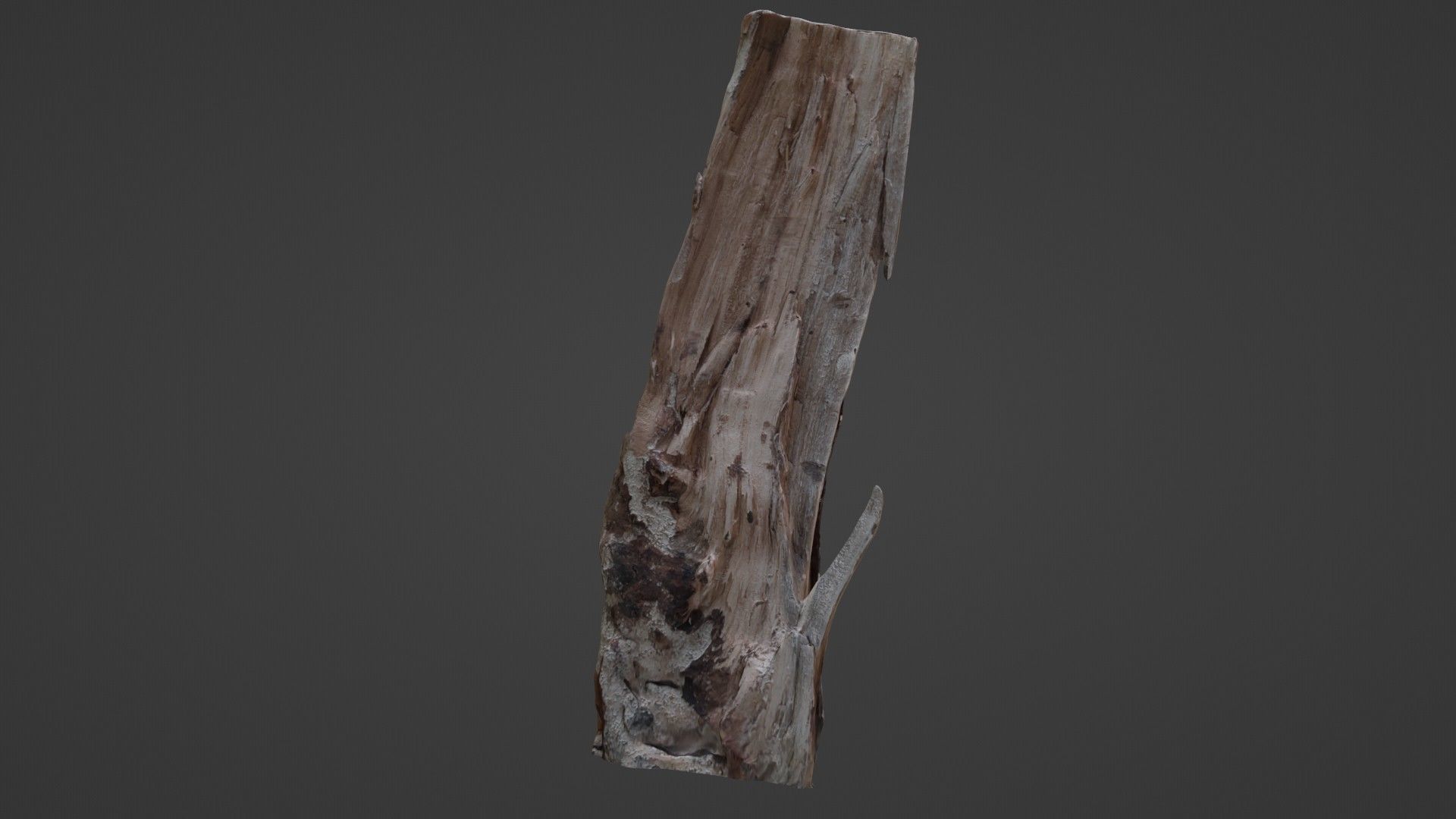 Stump cutted Low-poly 3D model_6
