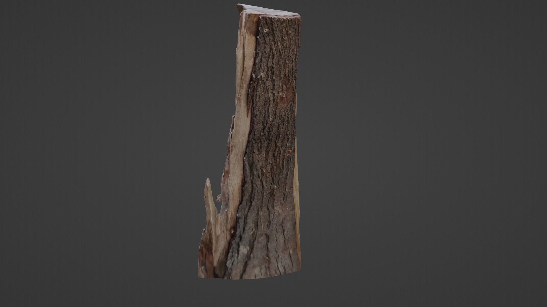 Stump cutted Low-poly 3D model_5