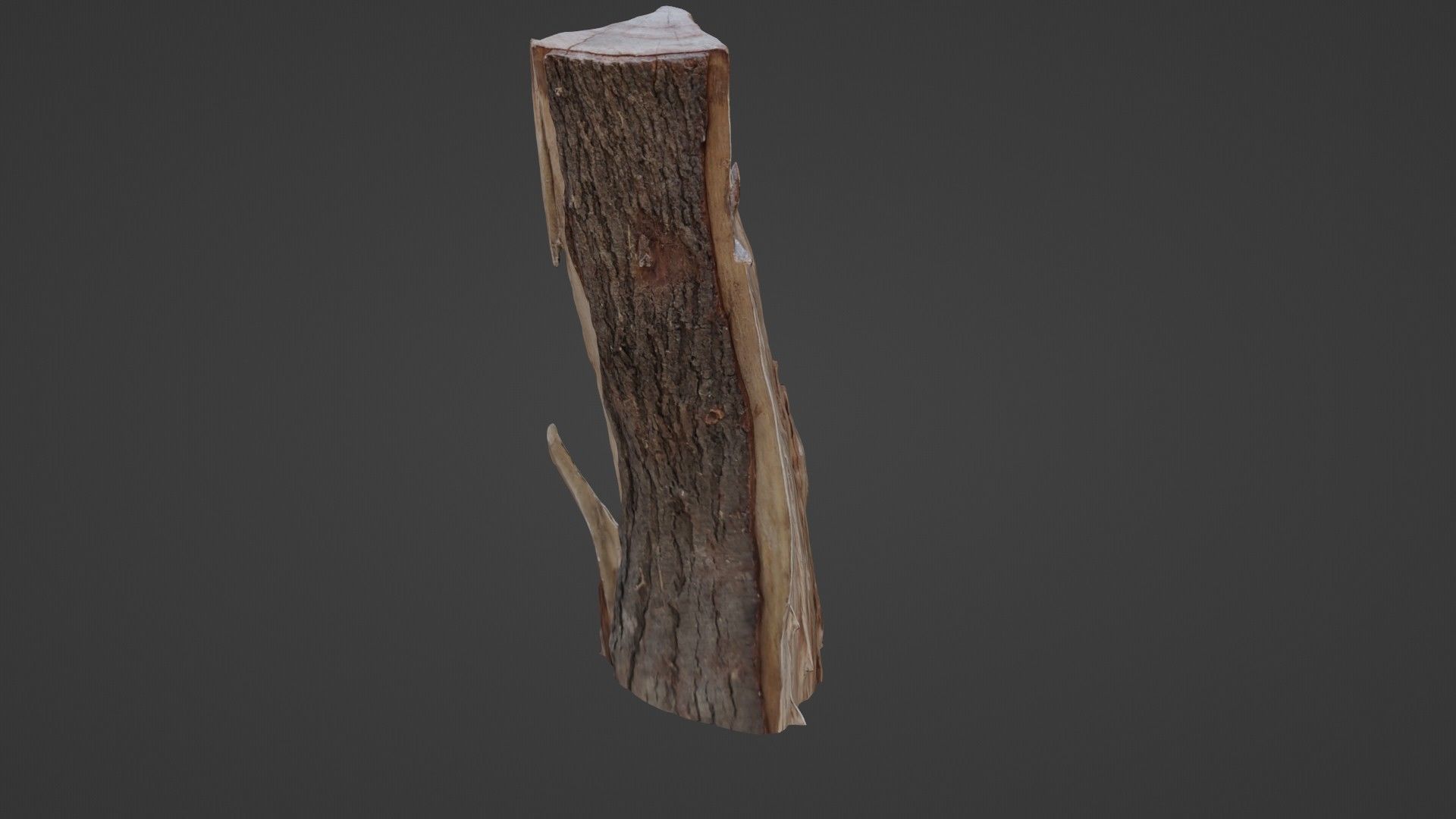 Stump cutted Low-poly 3D model_7