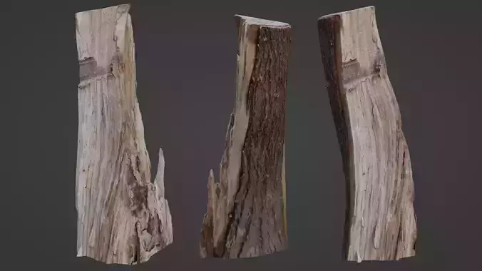 Stump cutted Low-poly 3D model