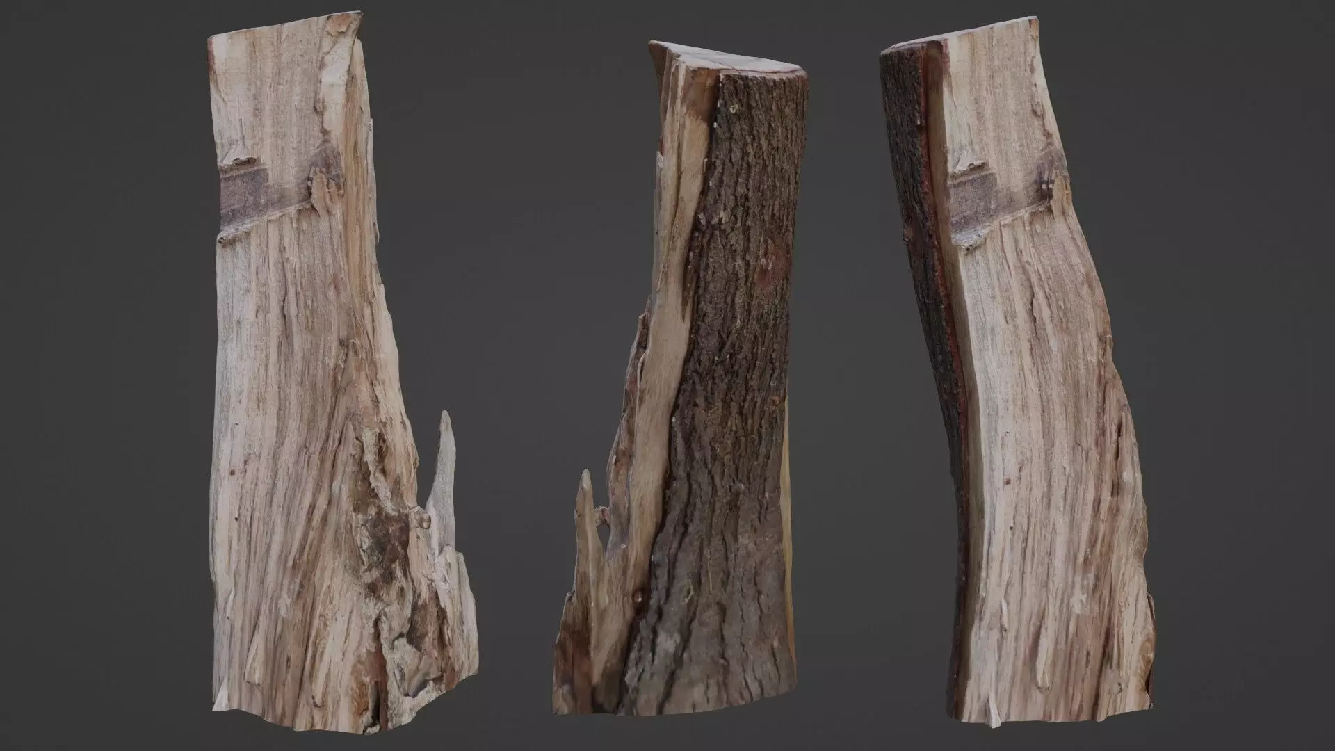 Stump cutted Low-poly 3D model_0