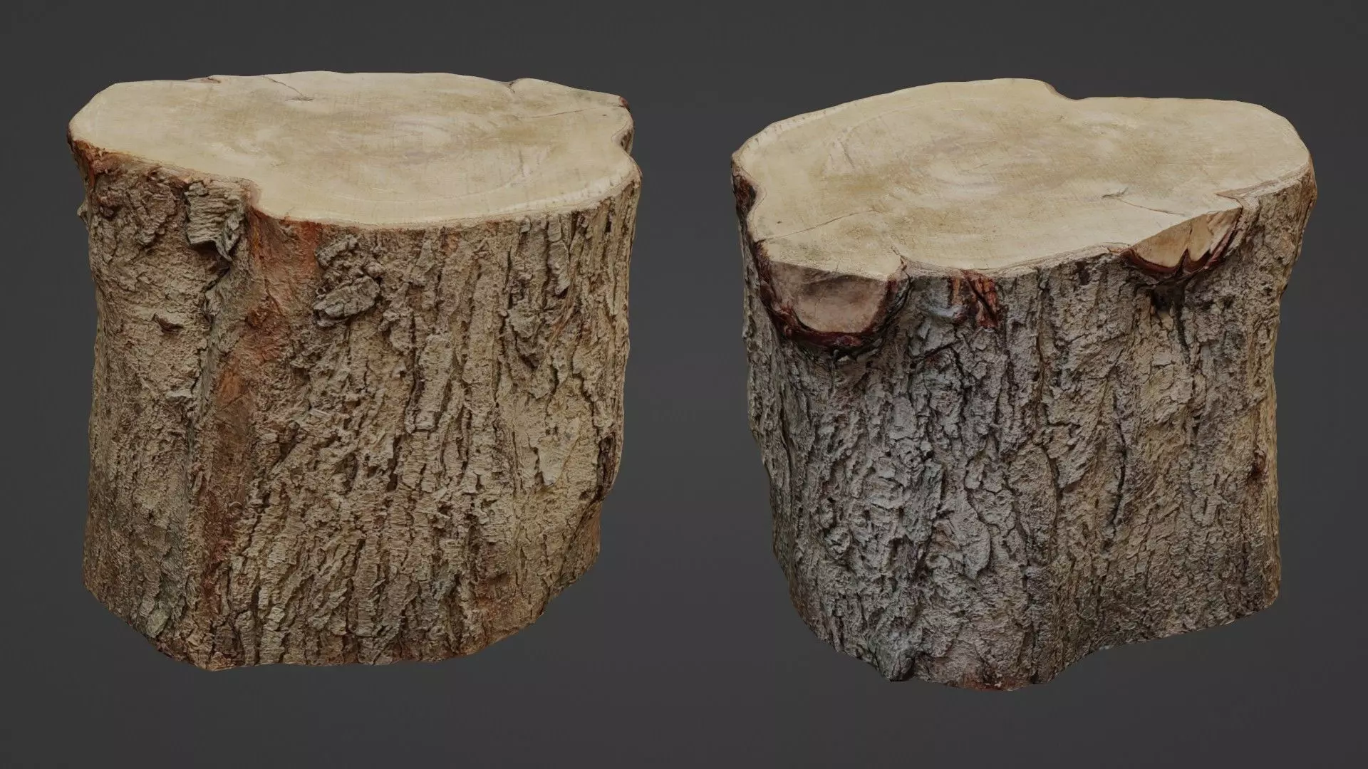Stump Scan Low-poly 3D model
