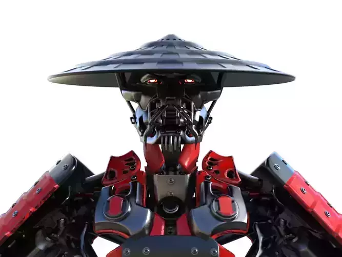 CyborgSmaurai
