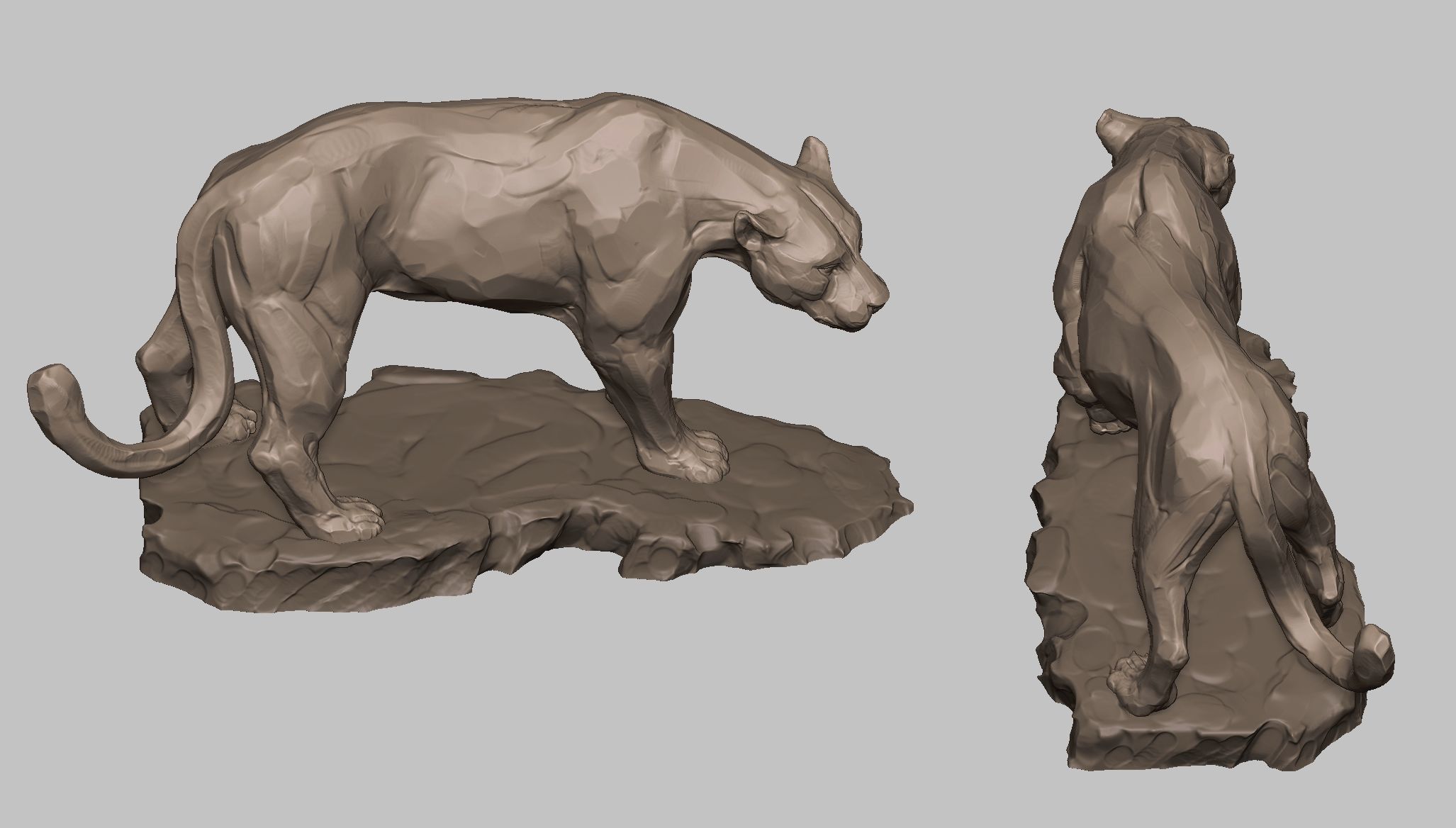 Leopard 3D print model_5