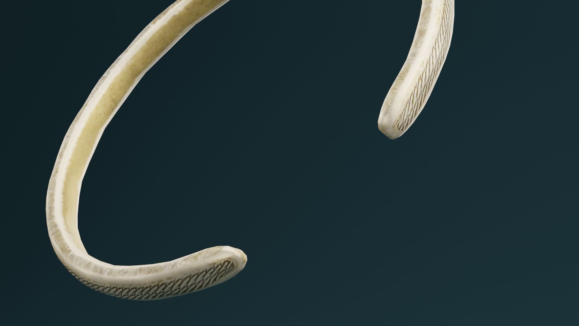 Golden Bangle  Low-poly 3D model_1