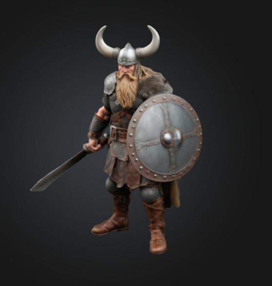 Viking 3D print model_4