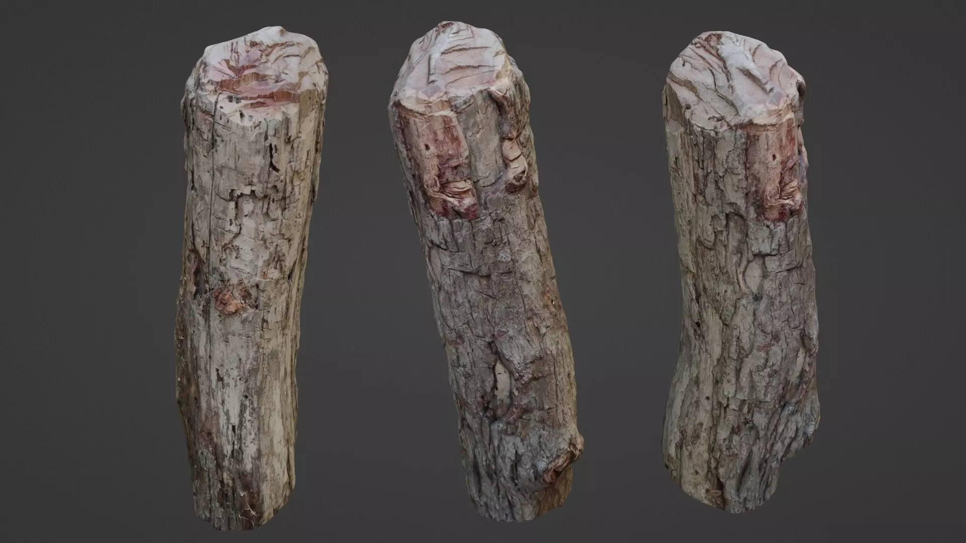 Tree Trunk Cutted Low-poly 3D model