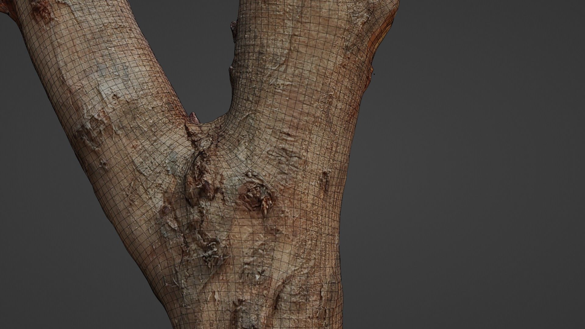 Log Y shaped Low-poly 3D model_2