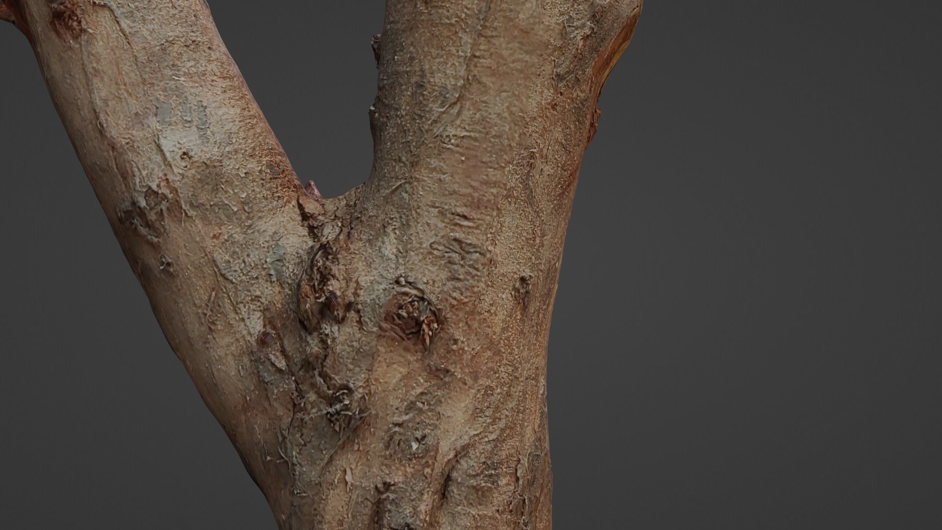 Log Y shaped Low-poly 3D model_3