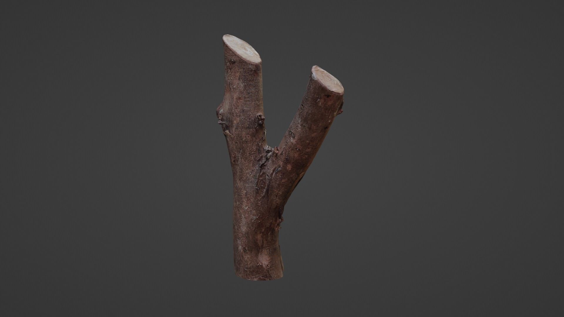 Log Y shaped Low-poly 3D model_5