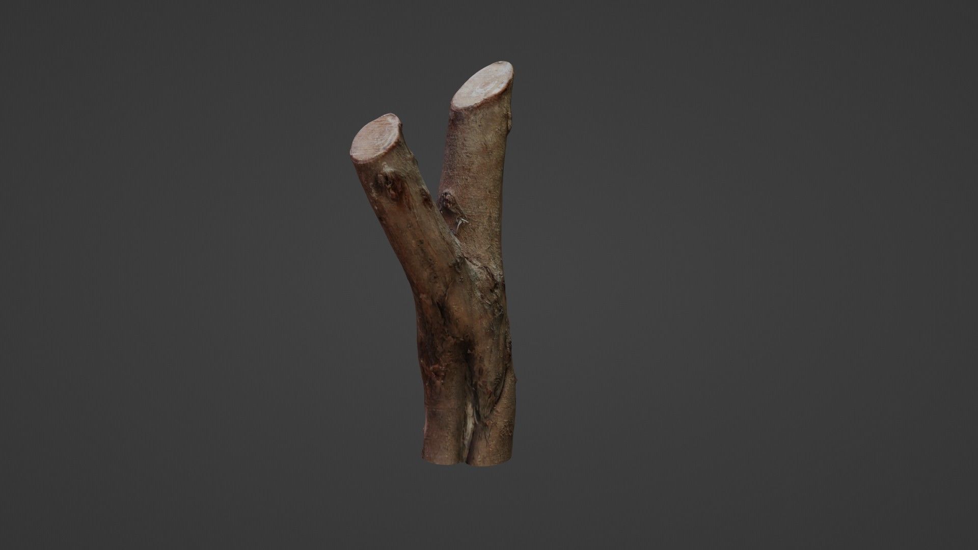 Log Y shaped Low-poly 3D model_6