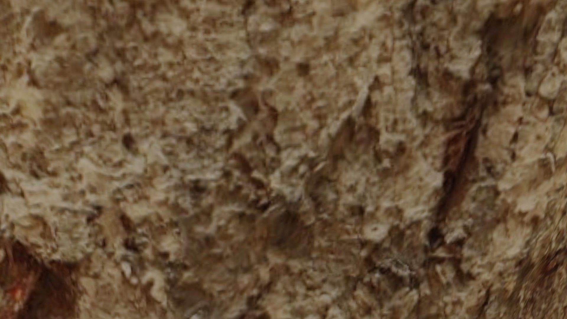 Butchler Meat Cutter Low-poly 3D model_4